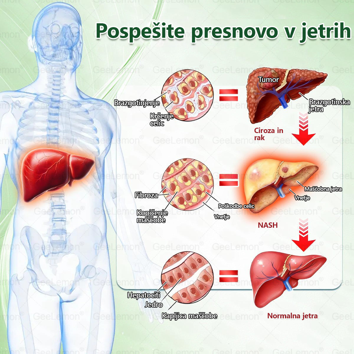 🎁 Na voljo je samo še 5 paketov! Zdaj prejmete dodatnih 50% popusta! Ostanite fit in zdravi. Če te priložnosti ne izkoristite zdaj, bo naslednja šele prihodnje leto!